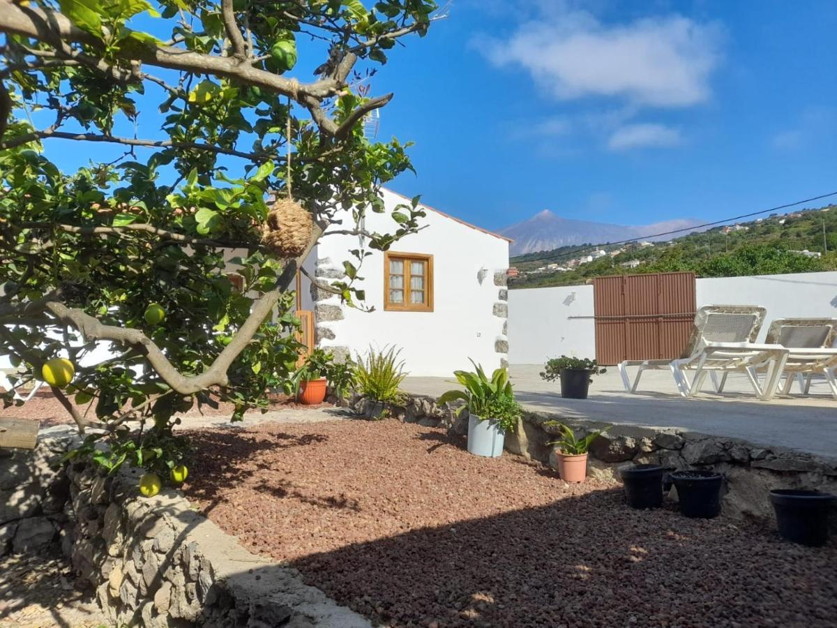 فيلا La Casa Del Bisa Genovés المظهر الخارجي الصورة