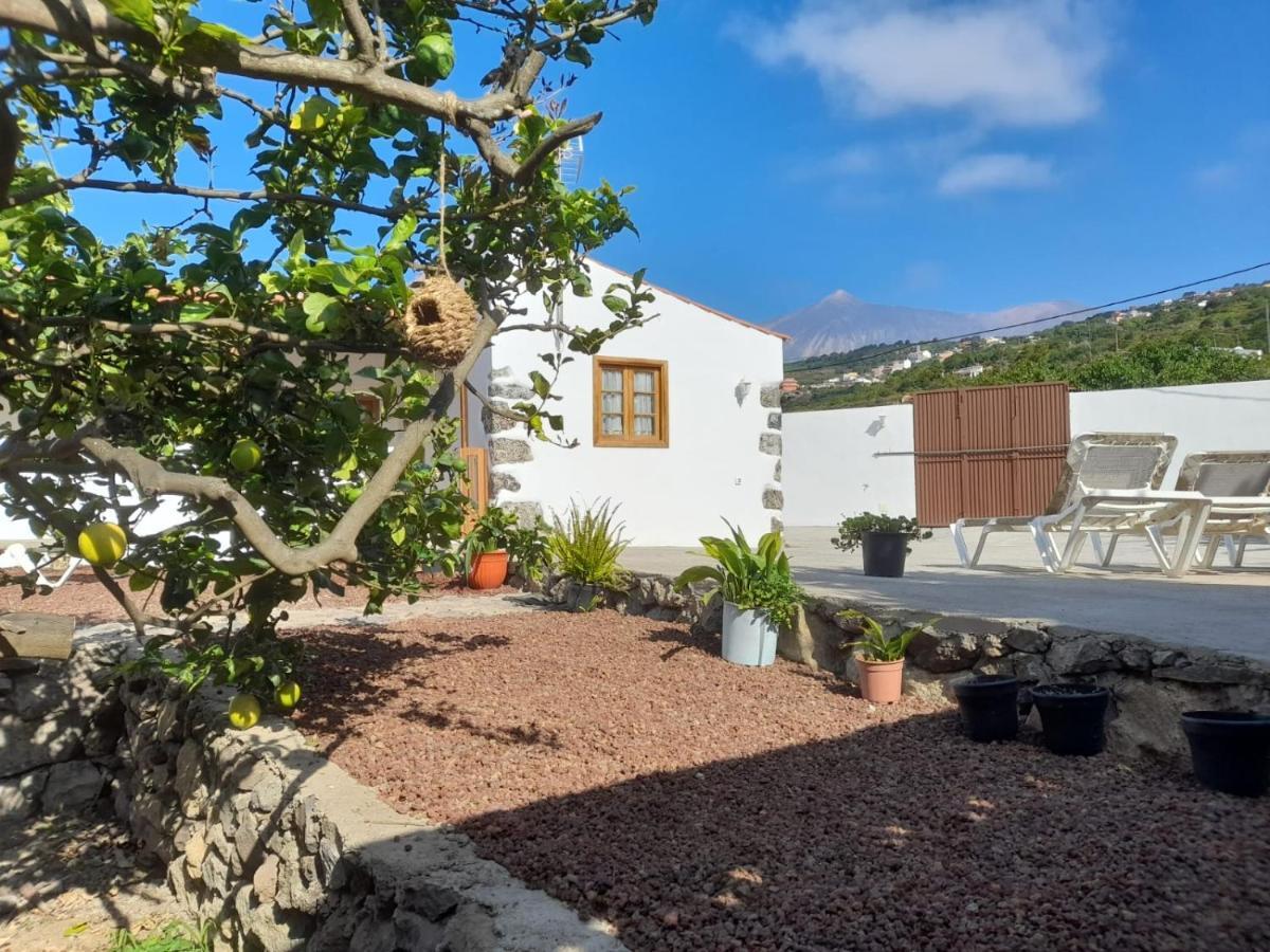 فيلا La Casa Del Bisa Genovés المظهر الخارجي الصورة